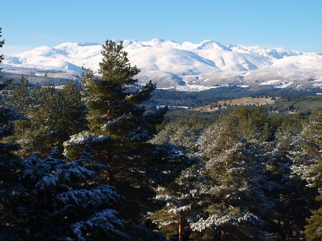 Parador De Gredos Navarredonda de Gredos Pokój zdjęcie